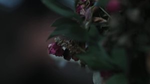 3 сезон 8 серия