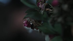 3 сезон 8 серия