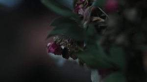 3 сезон 8 серия
